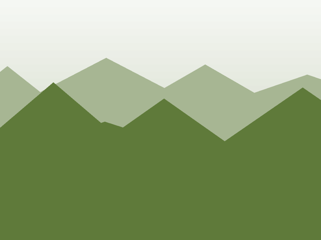 Alpin Pro 36 SL, Moos