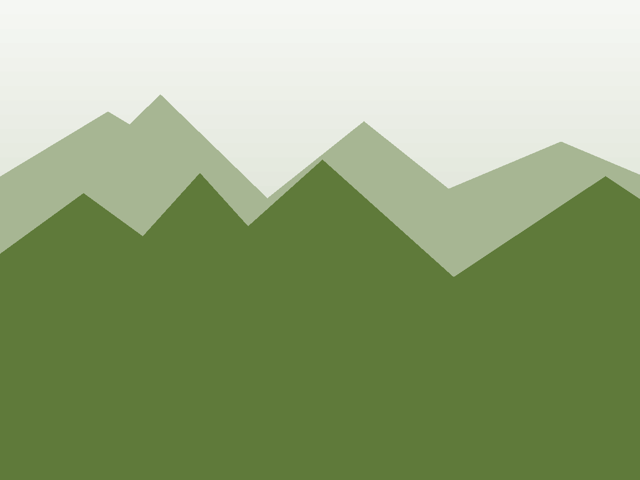 Vidda Pro Pro Trekkinghose Damen, Moos