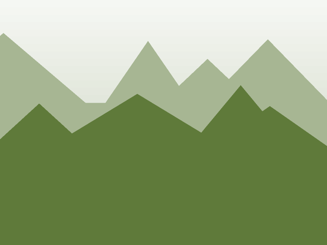 Alpin Pro 24 SL, Moos