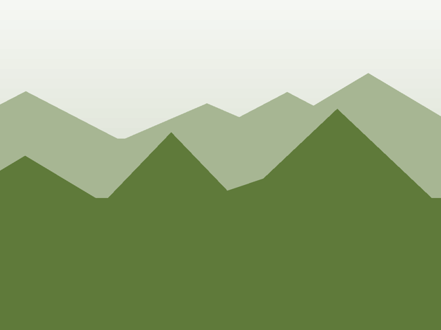Alpin Pro 24, Moos
