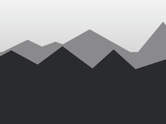 Peak Pro 32, Schwarz