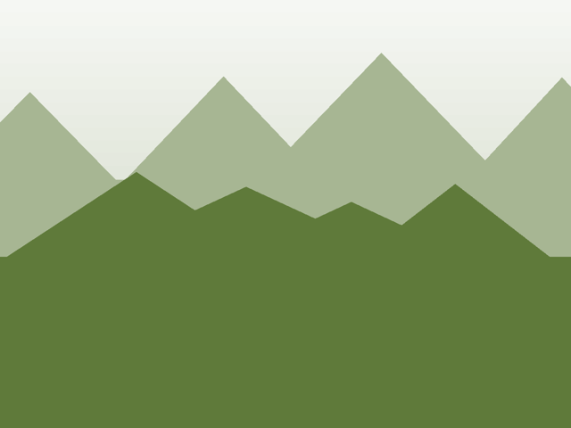 Lightning Pro 45, Moos